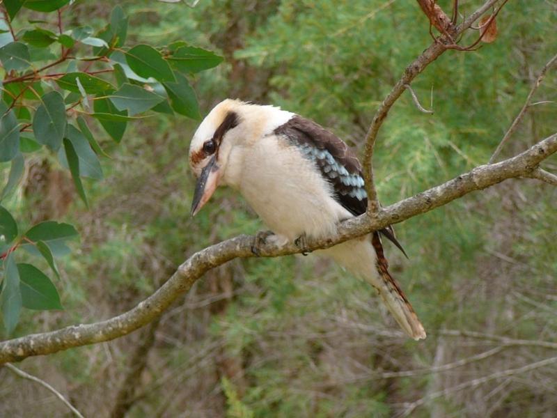 Margaret River Hideaway & Farmstay Bagian luar foto