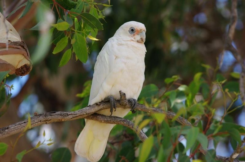 Margaret River Hideaway & Farmstay Bagian luar foto