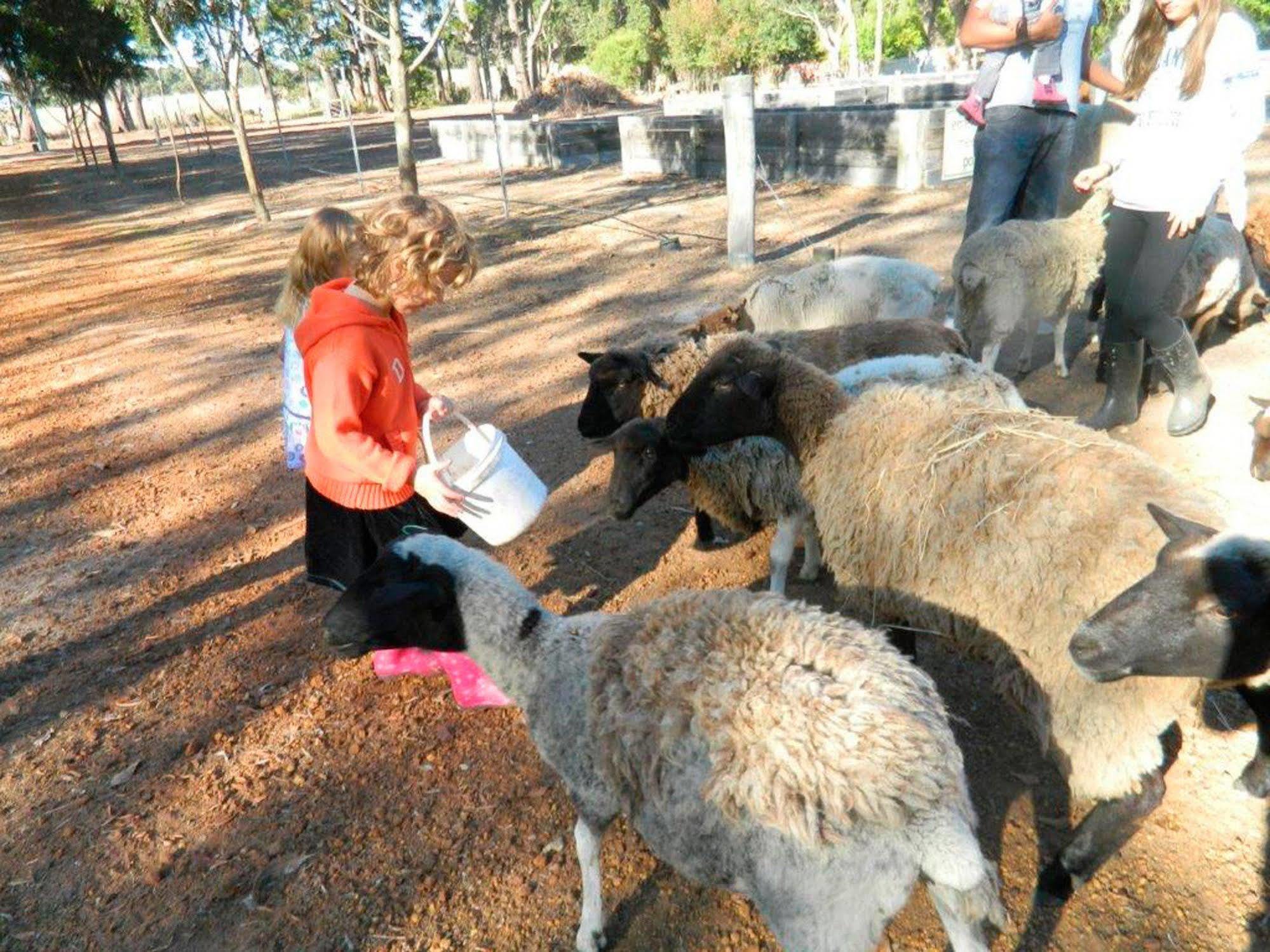 Margaret River Hideaway & Farmstay Bagian luar foto